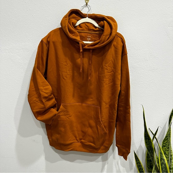 Revolve x Karla Longsleeve Hoodie in Bronze - Picture 2 of 5